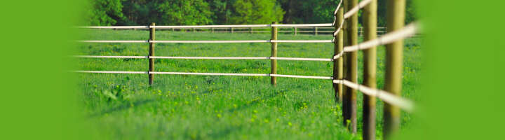 weidezaun kategorieeinstiegsbanner